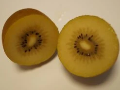 Deutschland Gartenbedarf Verkäufe 2024 -Deutschland Gartenbedarf Verkäufe 2024 Goldkiwi