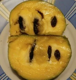 Veredelte Indianerbanane (Paw Paw) `Shenandoah®´ Asimina Triloba `Shenandoah´ 7 Veredelte Indianerbanane (Paw Paw) `Shenandoah®´ Asimina Triloba `Shenandoah´ -Deutschland Gartenbedarf Verkäufe 2024 Indianerbanane von Innen5a0476156796c