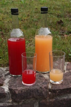 Rosette® Malus Domestica -Deutschland Gartenbedarf Verkäufe 2024 Rosette Saft