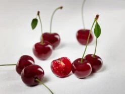 Achat Ⓢ Prunus Cerasus `Achat´ -Deutschland Gartenbedarf Verkäufe 2024 sauerkirsche achat ggmc5Q8G1QL1D9