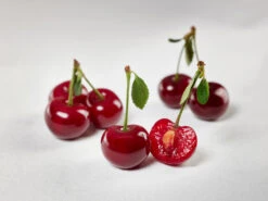 Safir ® Prunus Cerasus `Safir´ 11 Safir ® Prunus Cerasus `Safir´ -Deutschland Gartenbedarf Verkäufe 2024 sauerkirsche safir glCz99JjQsQ3RC