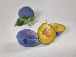 Haganta (S) Prunus Domestica `Haganta´ -Deutschland Gartenbedarf Verkäufe 2024 zwetschge haganta g