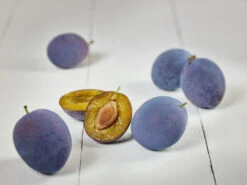 Hanita ® Prunus Domestica `Hanita -Deutschland Gartenbedarf Verkäufe 2024 zwetschge hanita g